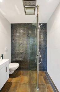 Bathroom Shower near frameless glass shower screen